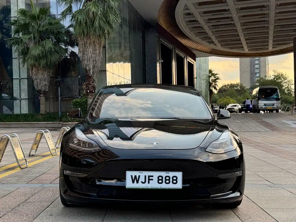 Tesla Model 3 — миниатюра 2