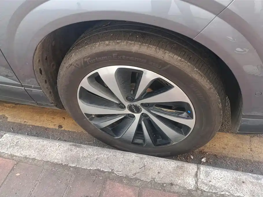 BYD Sea Lion 06 06 2026 EV 605