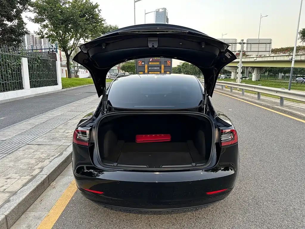 Tesla Model 3 — миниатюра 10