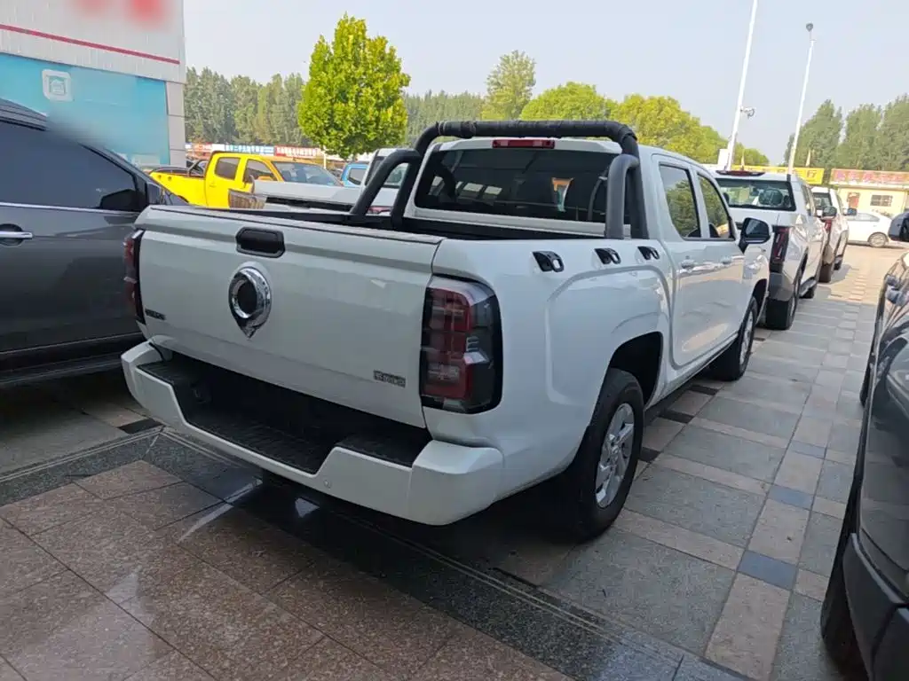 Great Wall King Kong Pao — миниатюра 7