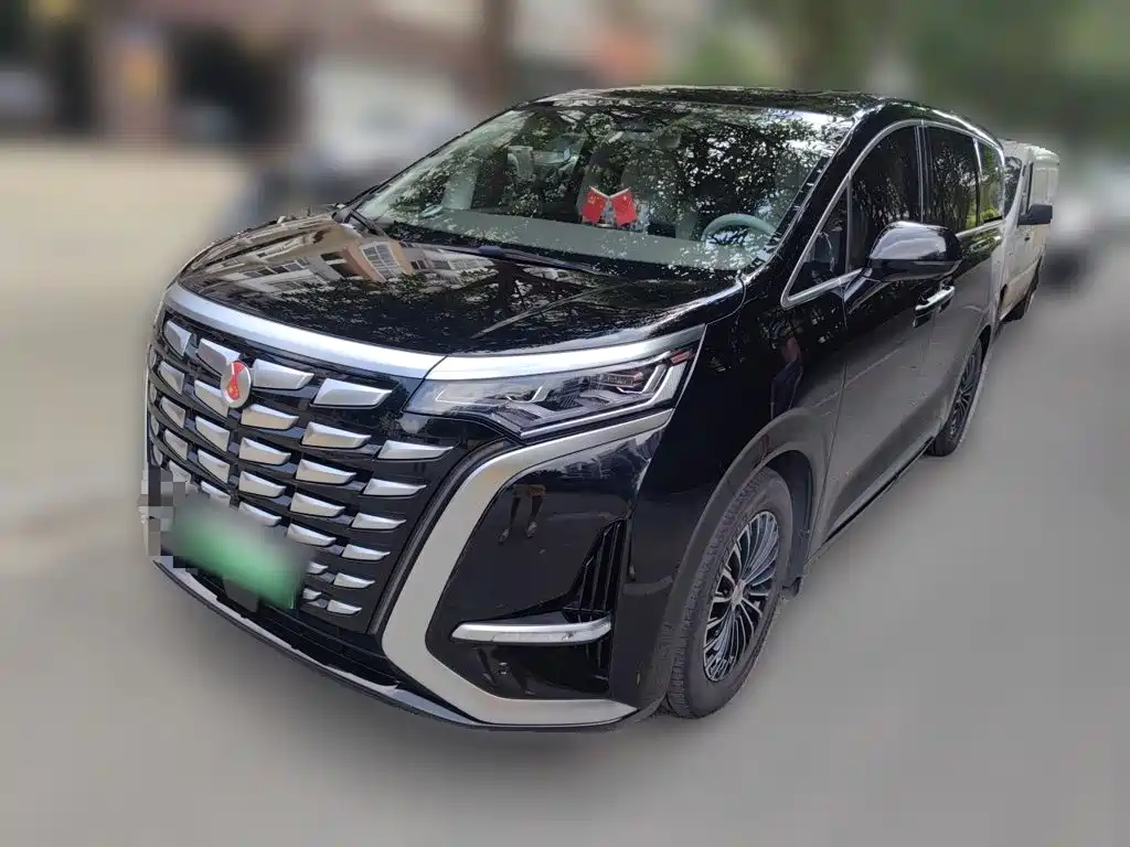 Denza Denza D9 — миниатюра 2