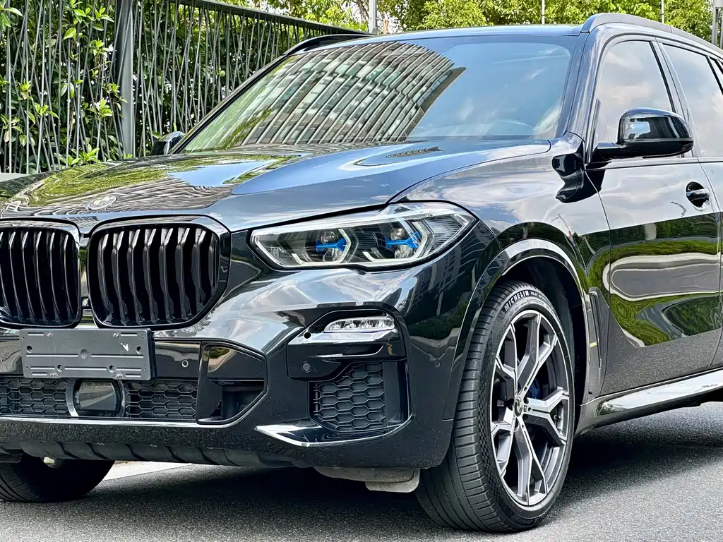 BMW X5 (Import) — миниатюра 2