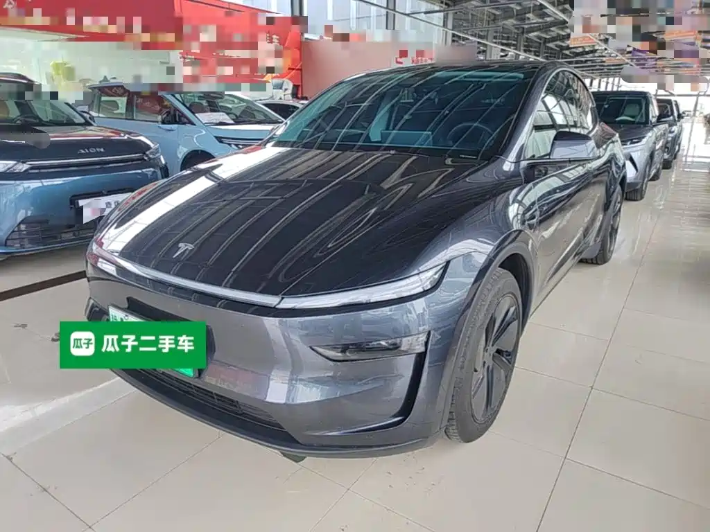 Tesla Model Y — миниатюра 2