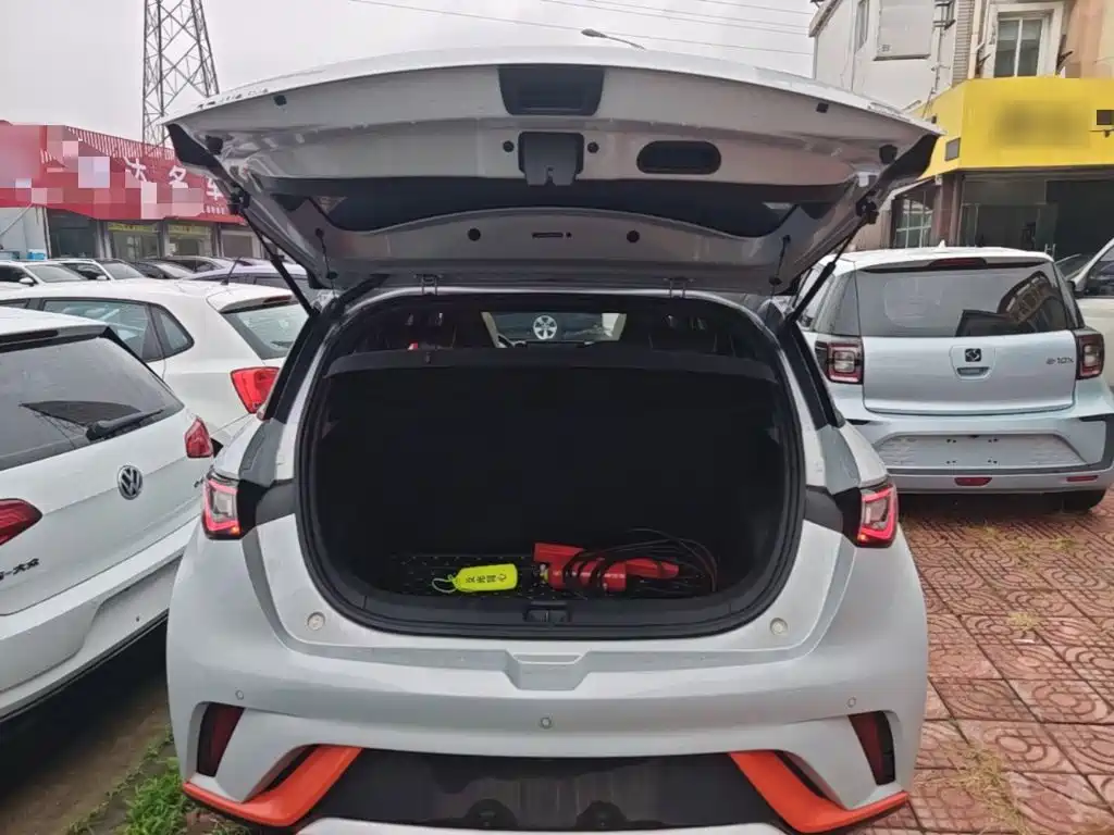 BYD Dolphin — миниатюра 19