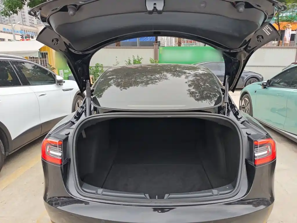 Tesla Model 3 — миниатюра 19
