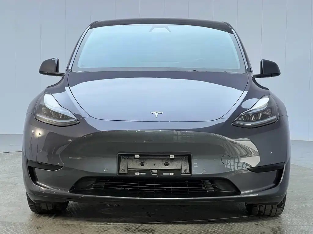 Tesla Model Y — миниатюра 2