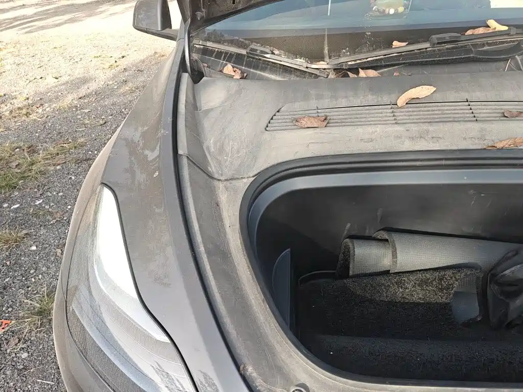 Tesla Model Y — миниатюра 19