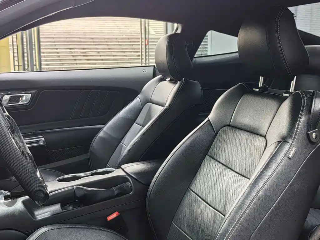 Ford Mustang — миниатюра 10