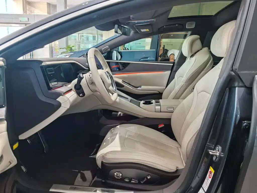 Denza Denza Z9 — миниатюра 4