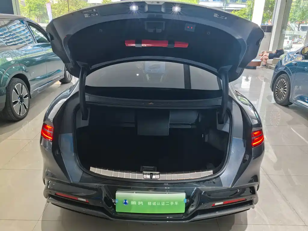 Denza Denza Z9 — миниатюра 11