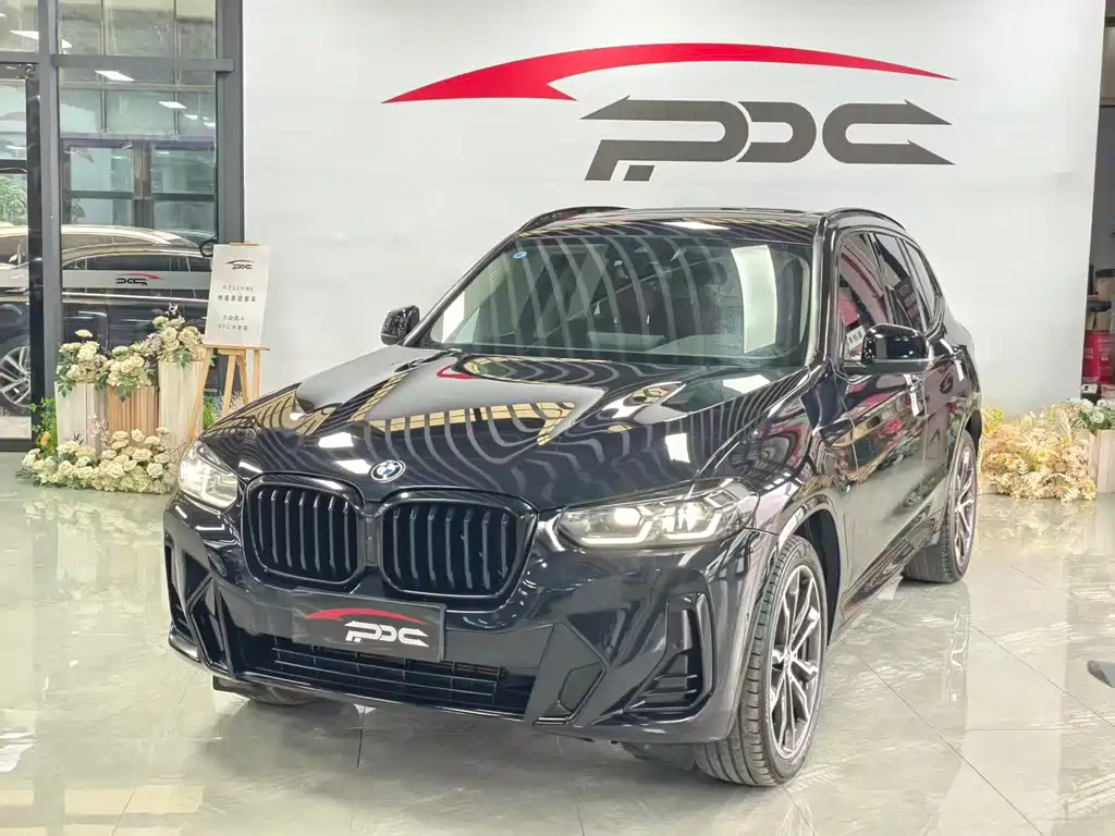 BMW X3 — миниатюра 2