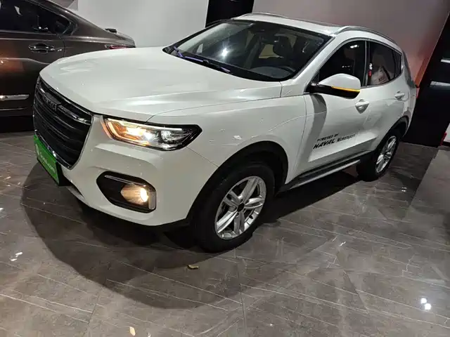 2019 Haval H4