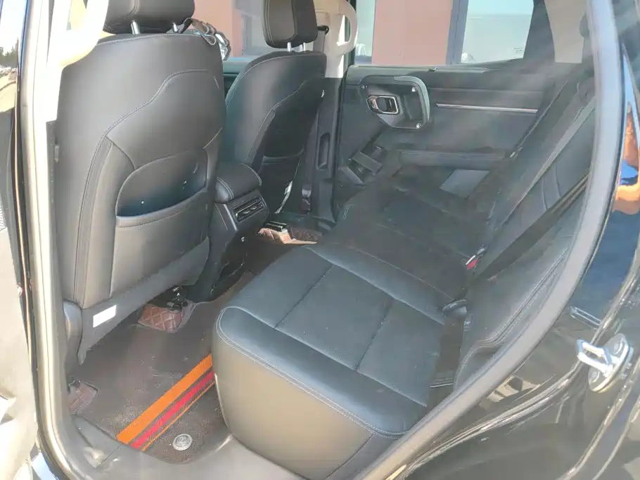 Haval Big Dog PLUS — миниатюра 11