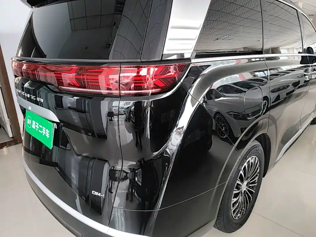 Denza Denza D9 — миниатюра 8