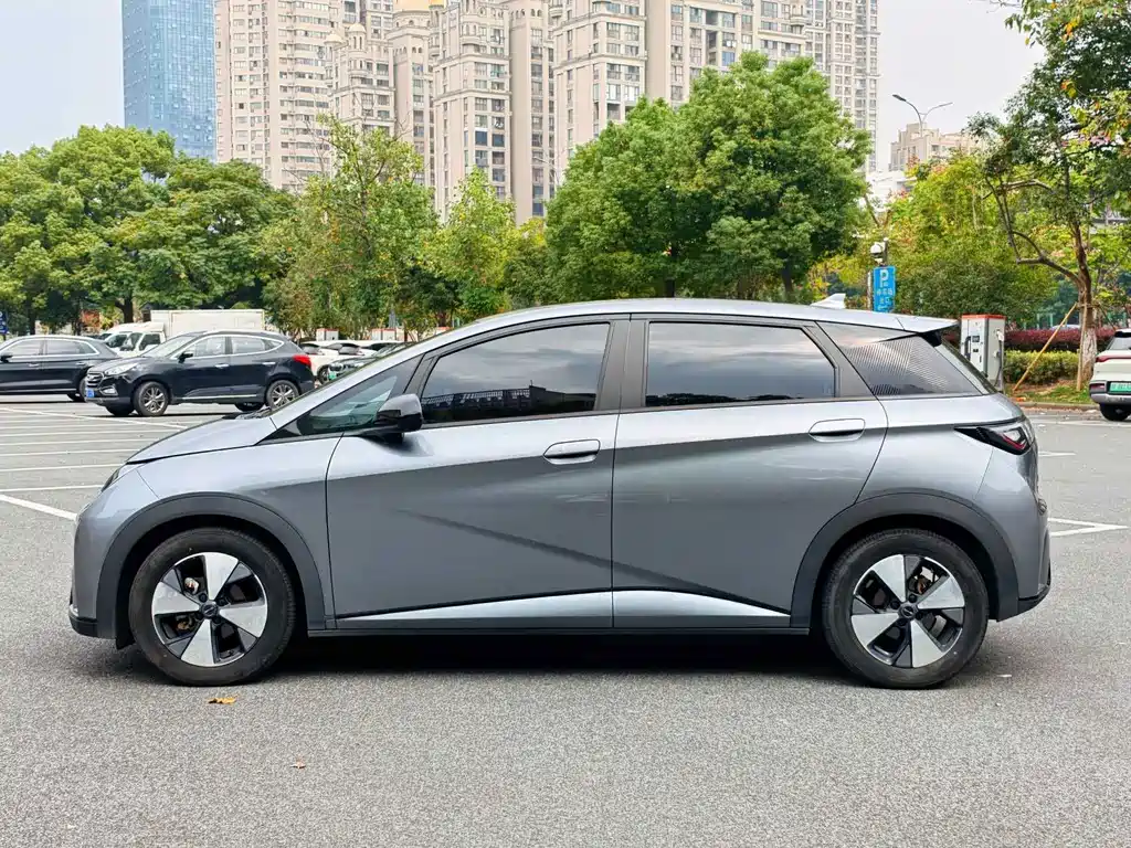 BYD Dolphin — миниатюра 4