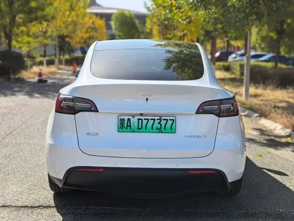 Tesla Model Y — миниатюра 8