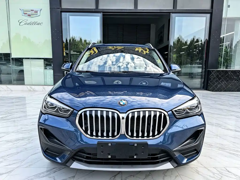 BMW X1 — миниатюра 2