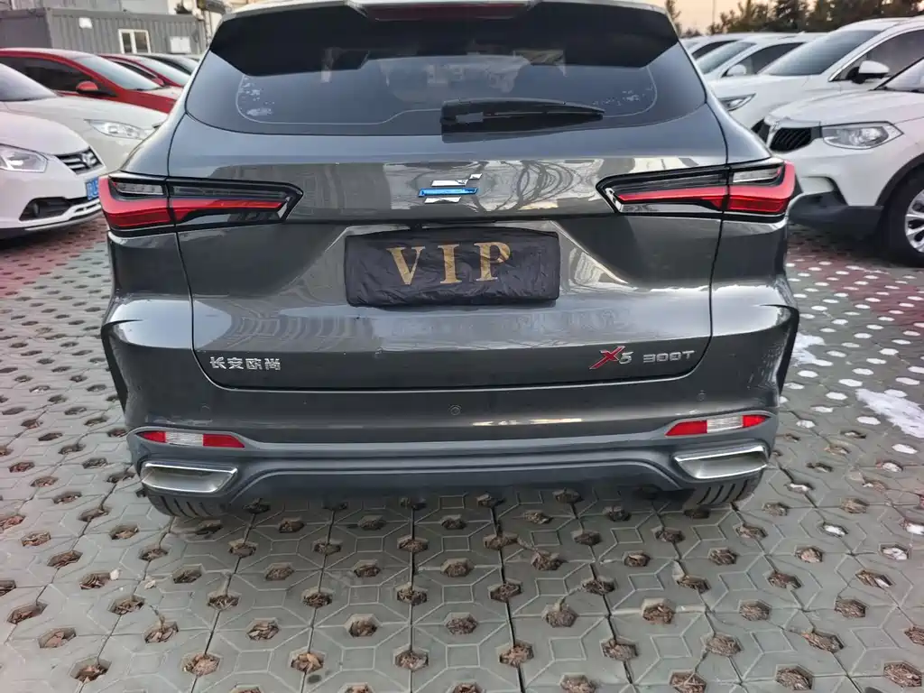 CHANGAN CHANGAN AUCHAN X5