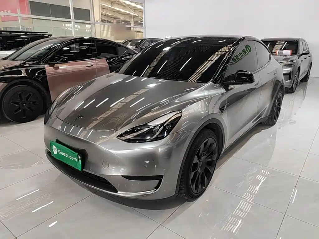 Tesla Model Y — миниатюра 2