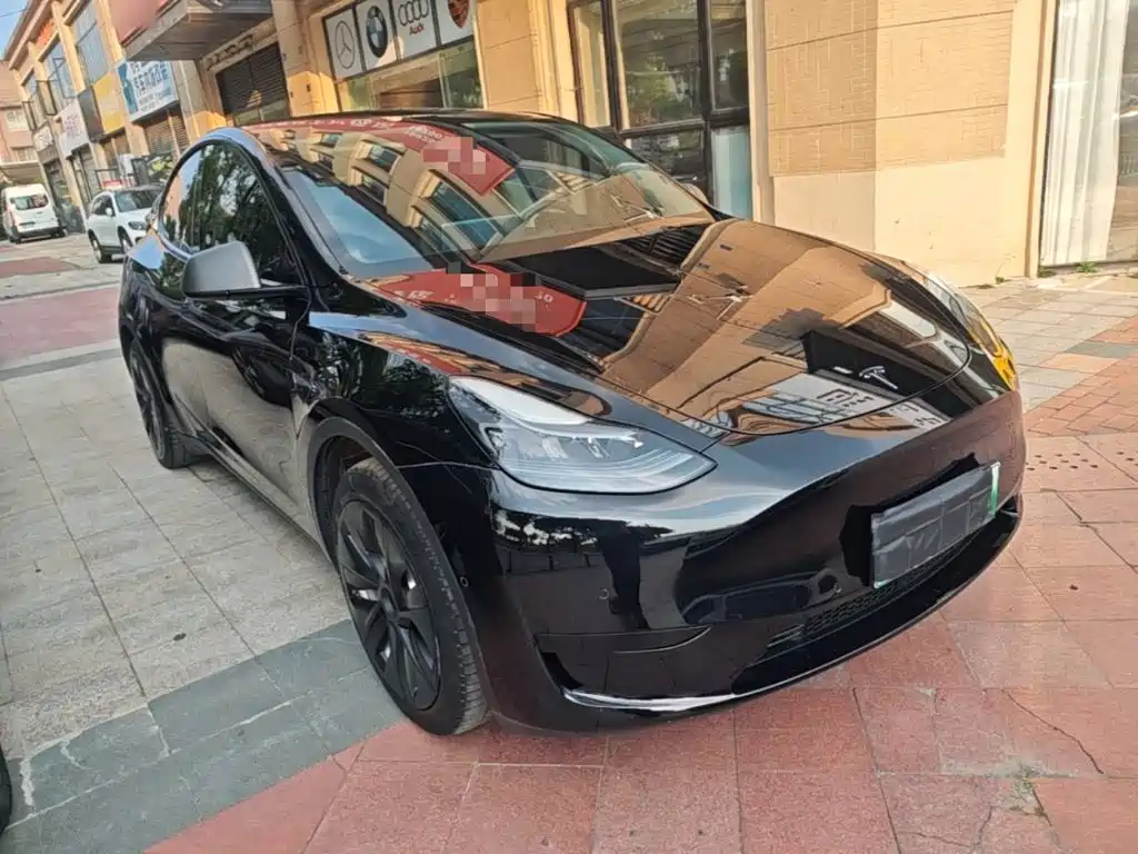 Tesla Model Y — миниатюра 4