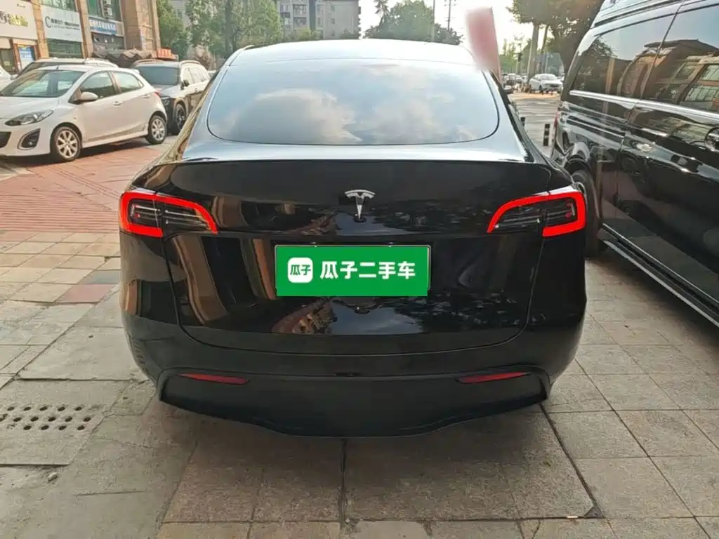 Tesla Model Y — миниатюра 6
