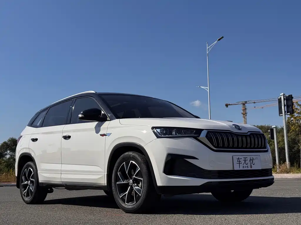 Skoda Kamiq — миниатюра 7