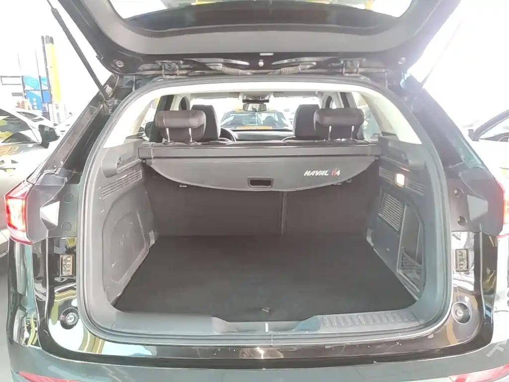 Haval H4 — миниатюра 19