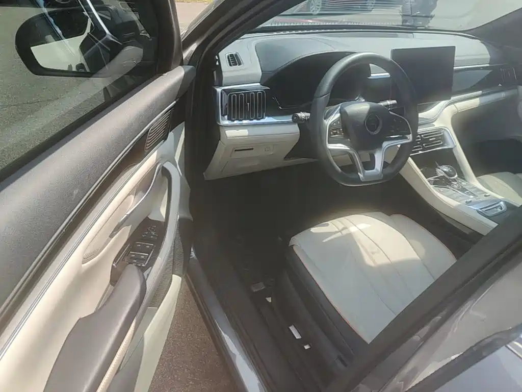 BYD PLUS New Energy — миниатюра 16