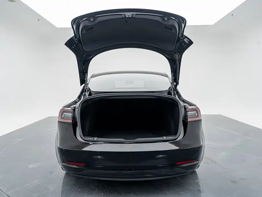 Tesla Model 3 — миниатюра 25