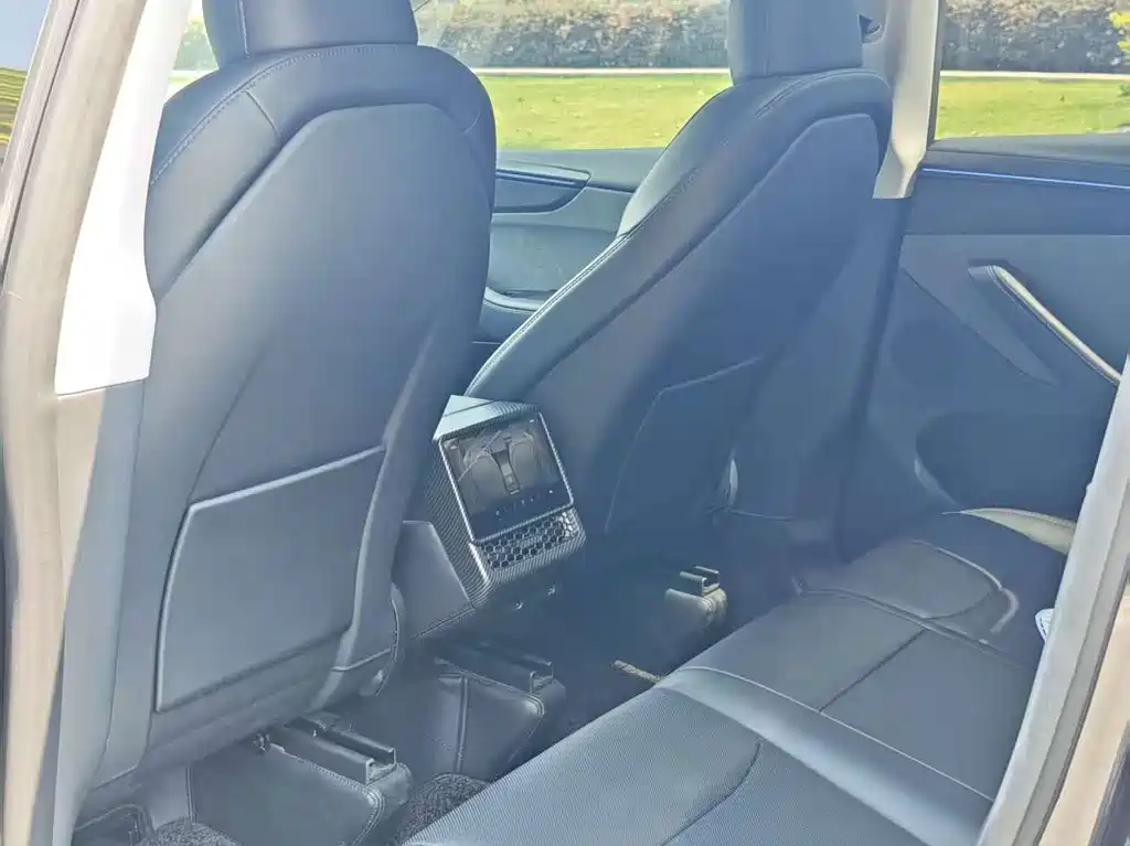 Tesla Model Y — миниатюра 6