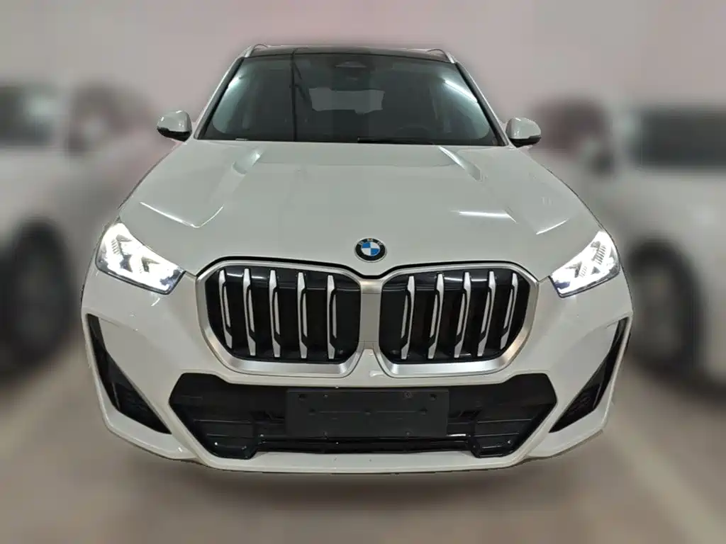 BMW X1 — миниатюра 5