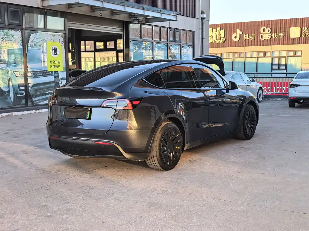 Tesla Model Y — миниатюра 5