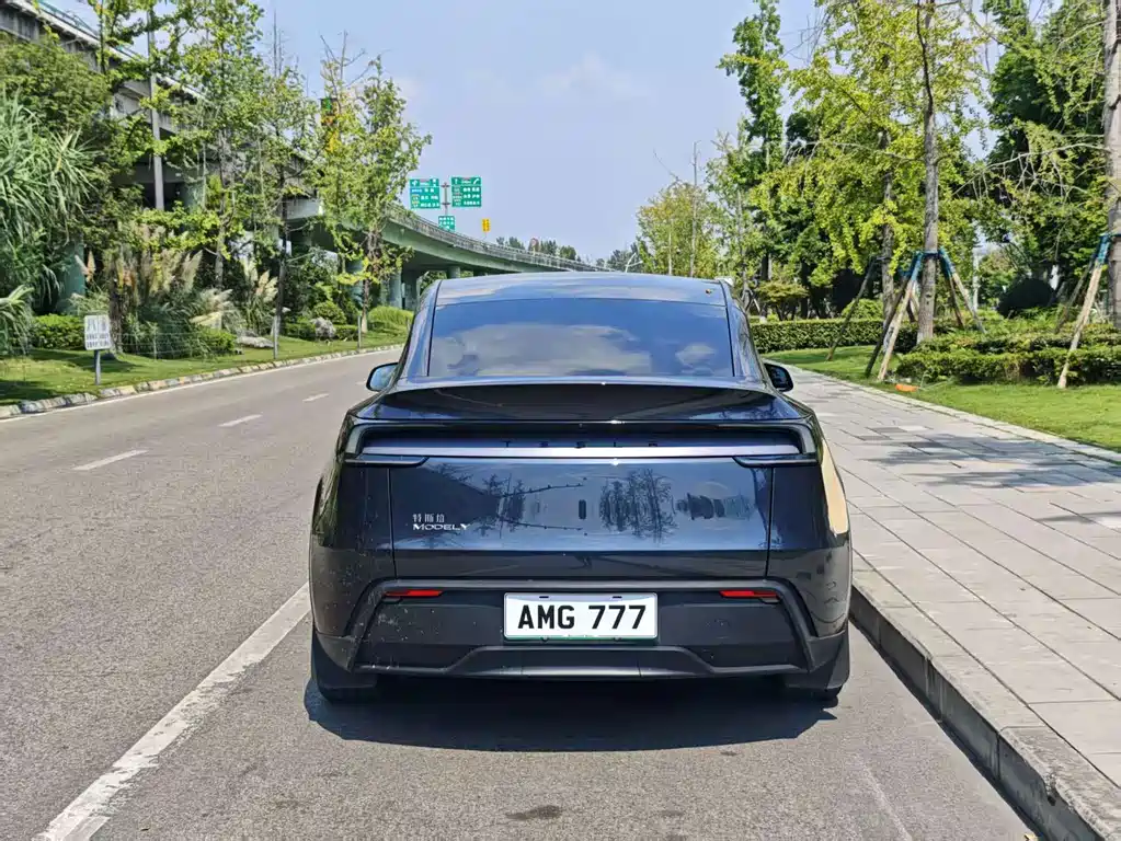 Tesla Model Y — миниатюра 10