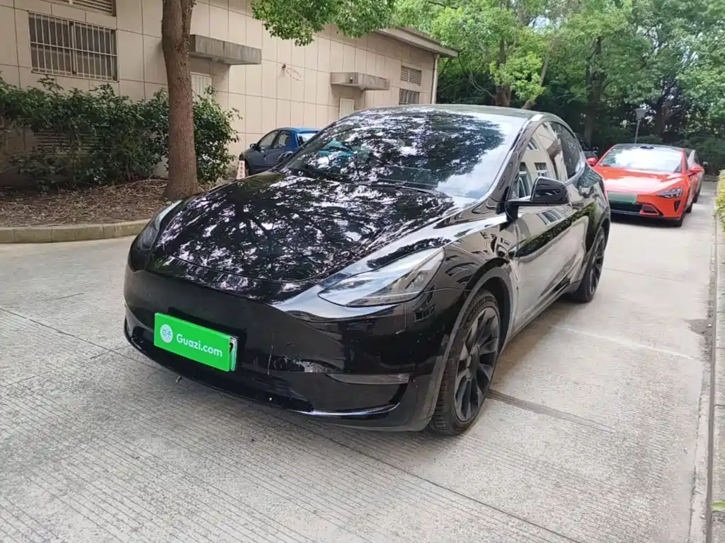 Tesla Model Y — миниатюра 2