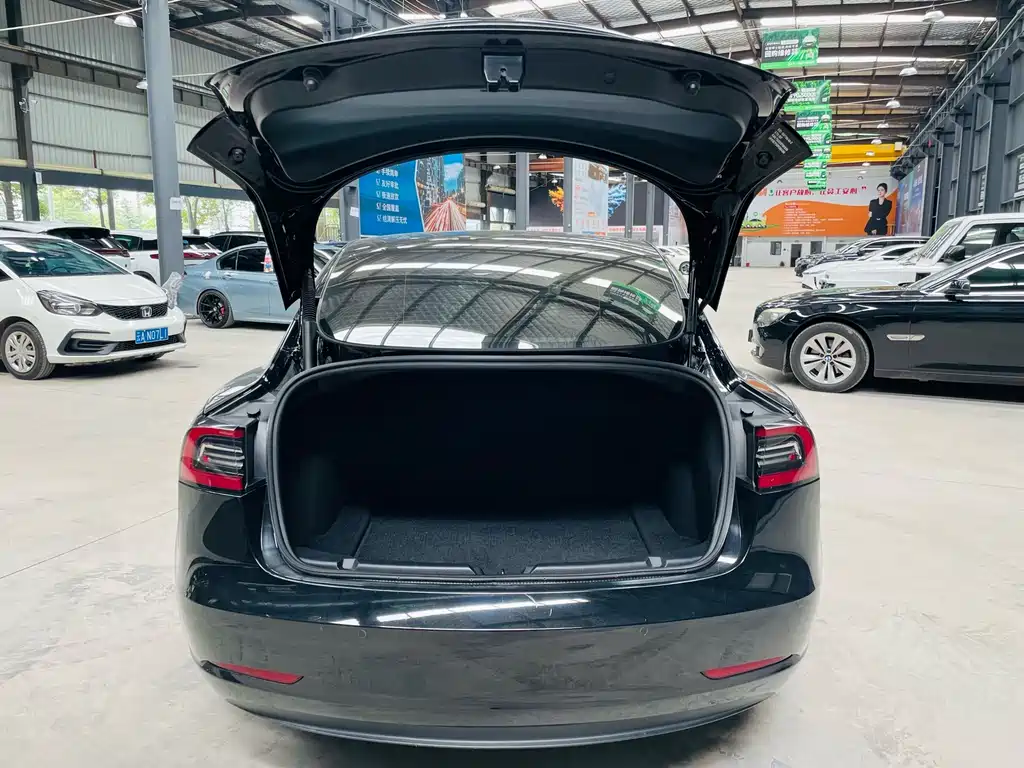 Tesla Model 3 — миниатюра 15