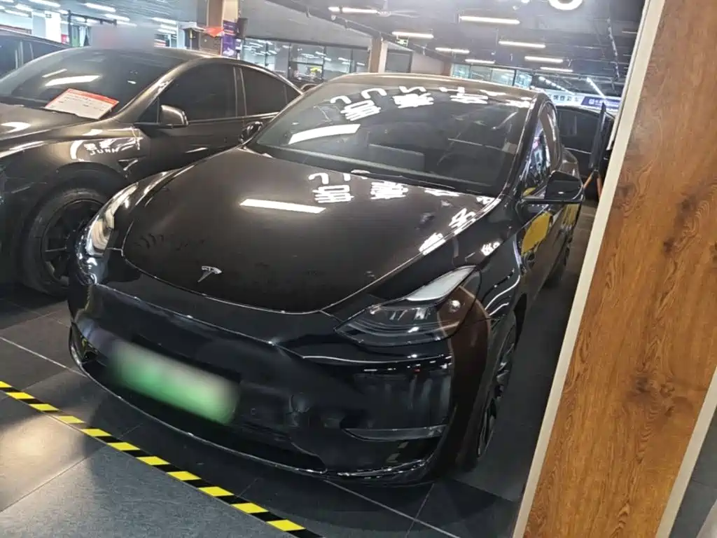 Tesla Model Y — миниатюра 2
