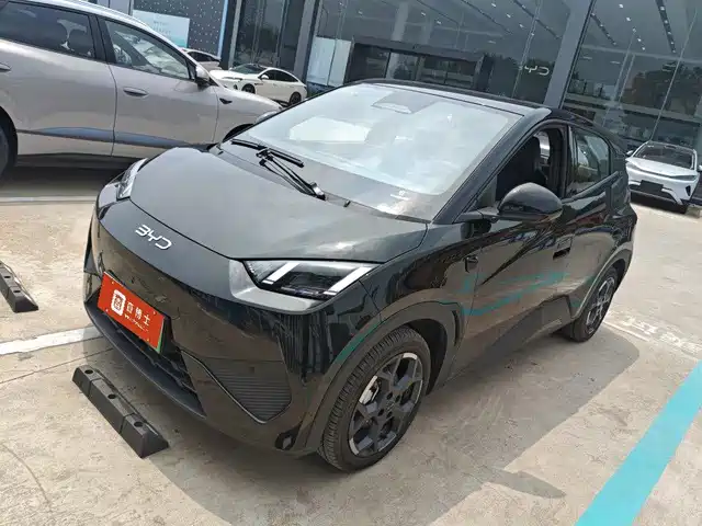 BYD 海鸥
