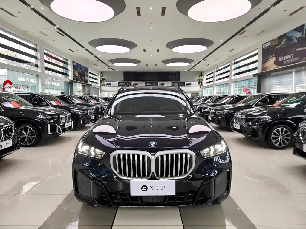 BMW X5 — миниатюра 2