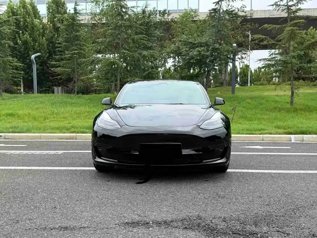 Tesla Model 3 — миниатюра 2