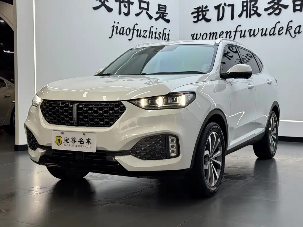 Wey Wey VV6 2020