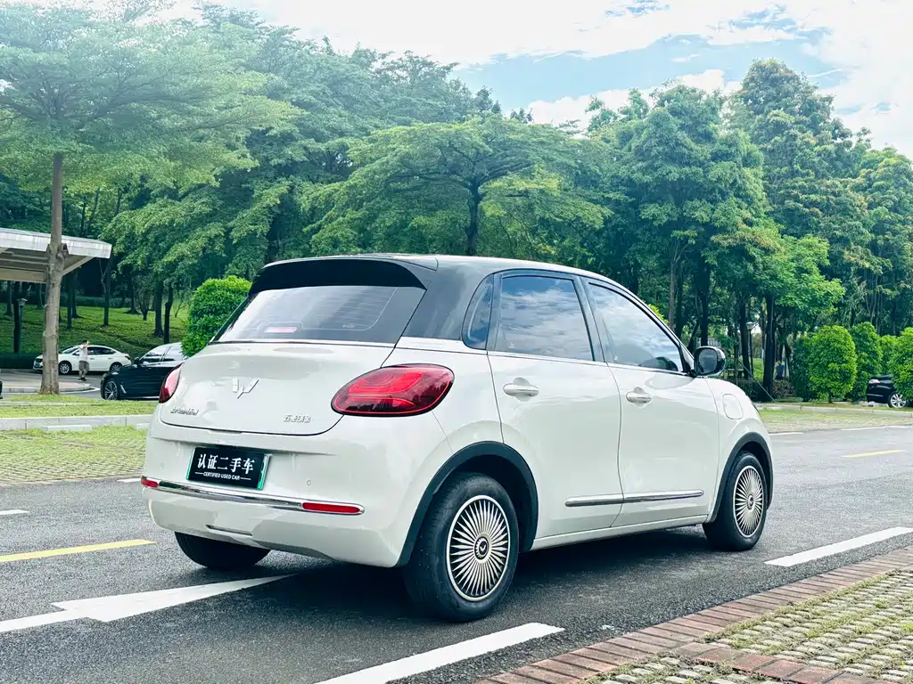 Wuling Binguo 2023 333km Enjoy