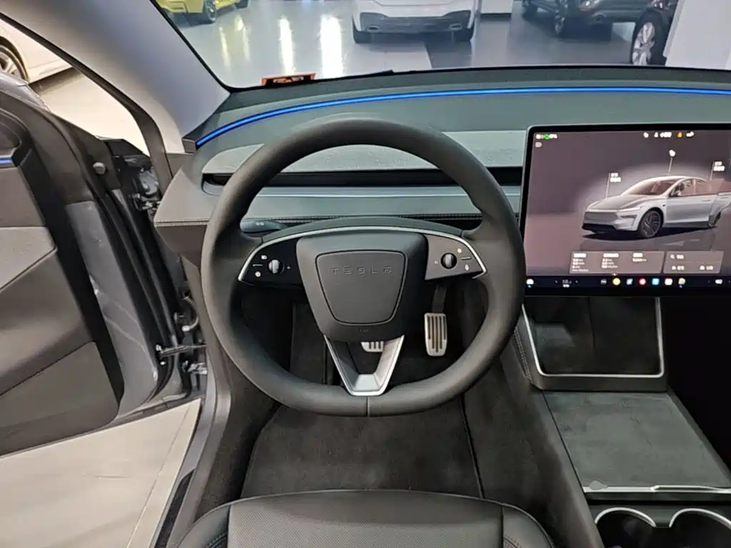 Tesla Model Y — миниатюра 11