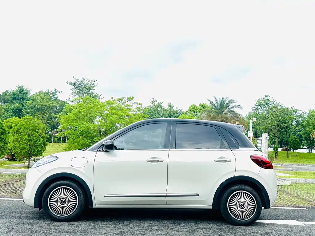 Wuling Binguo 2023 333km Enjoy