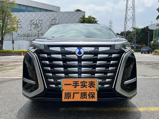 2023 Denza D9