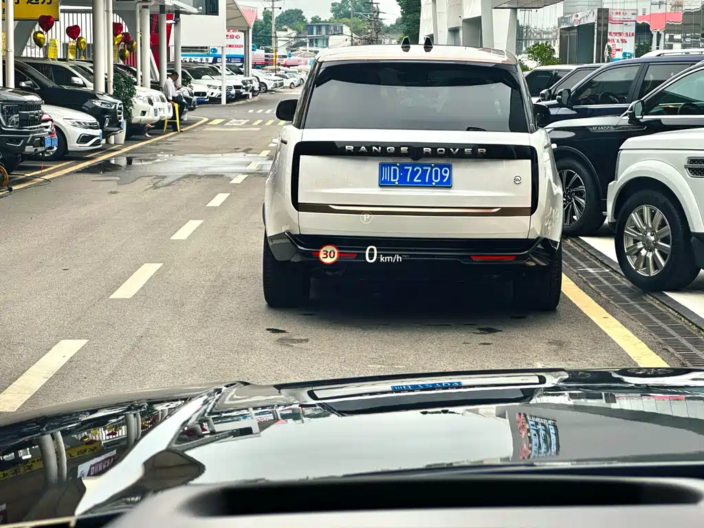 Land Rover Range Rover — миниатюра 13
