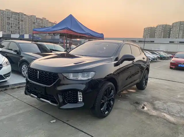 WEI PAI WEI BRAND VV5 2018