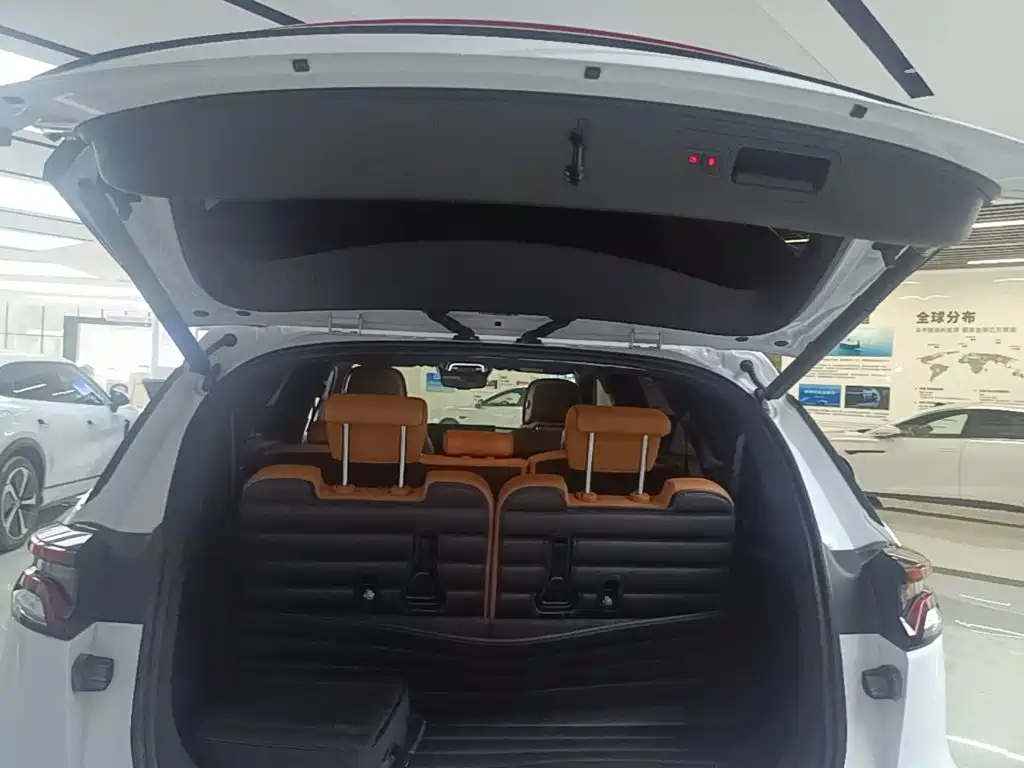 BYD Tang New Energy — миниатюра 19