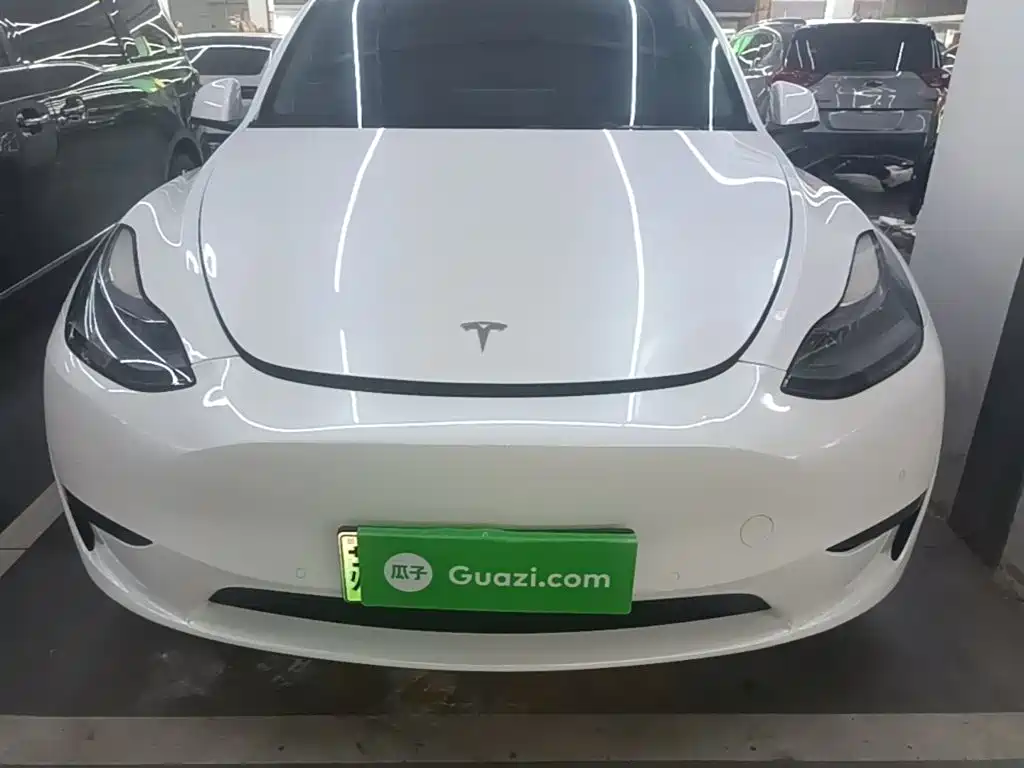 Tesla Model Y — миниатюра 3