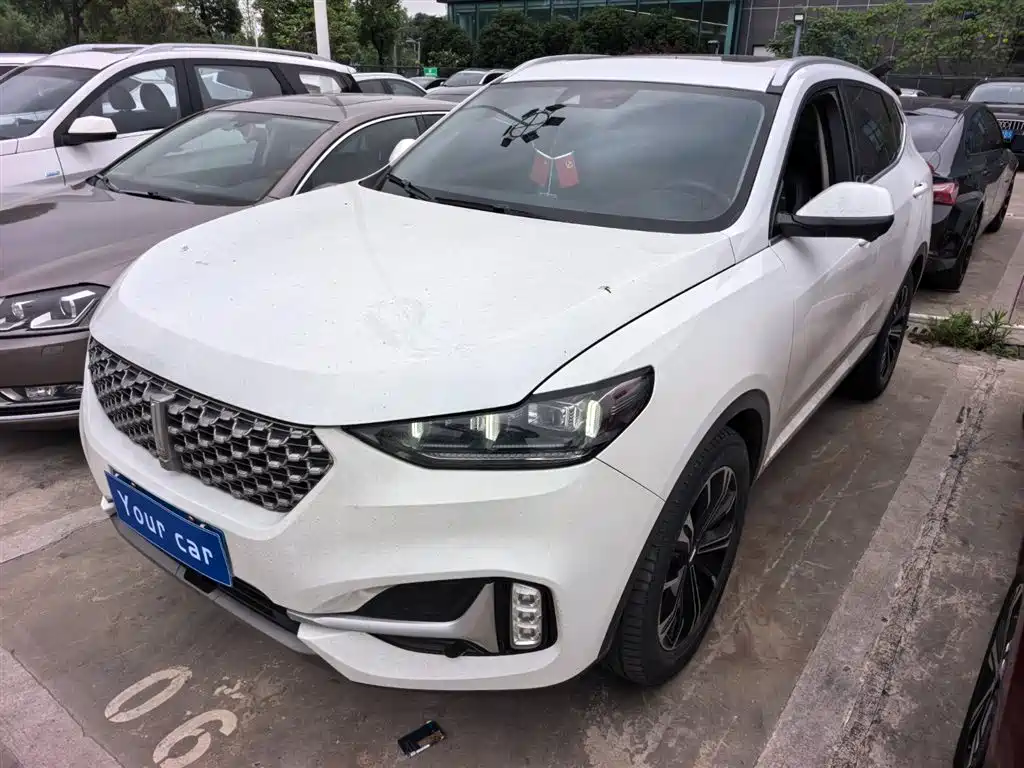 Купить Wey Wey VV6