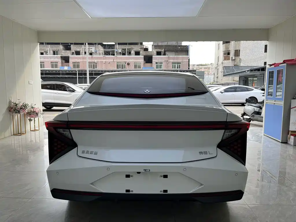 Lingxi Lingxi L — миниатюра 8
